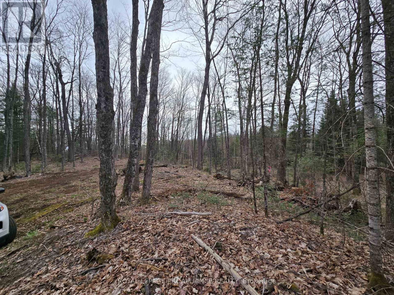 2060 SMITH ROAD Image 19
