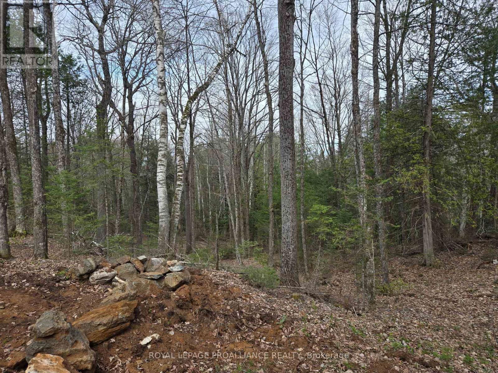 2060 SMITH ROAD Image 20