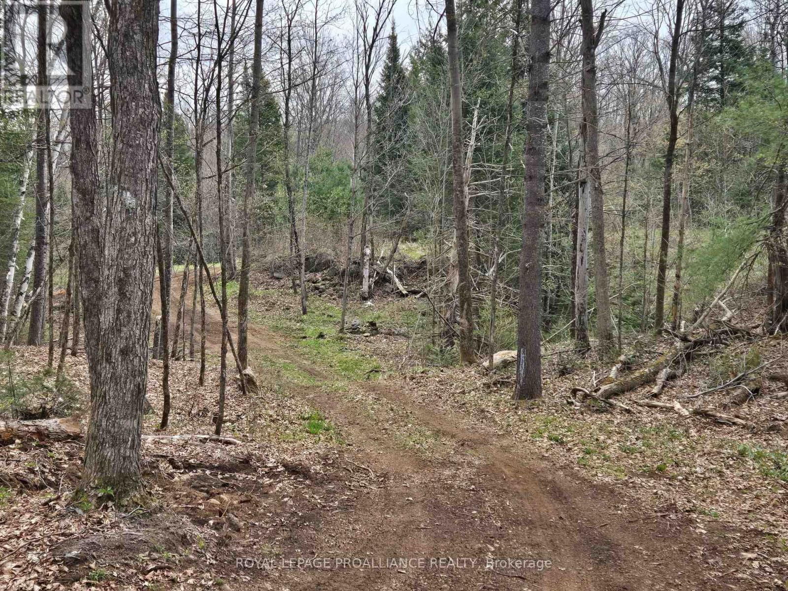 2060 SMITH ROAD Image 21