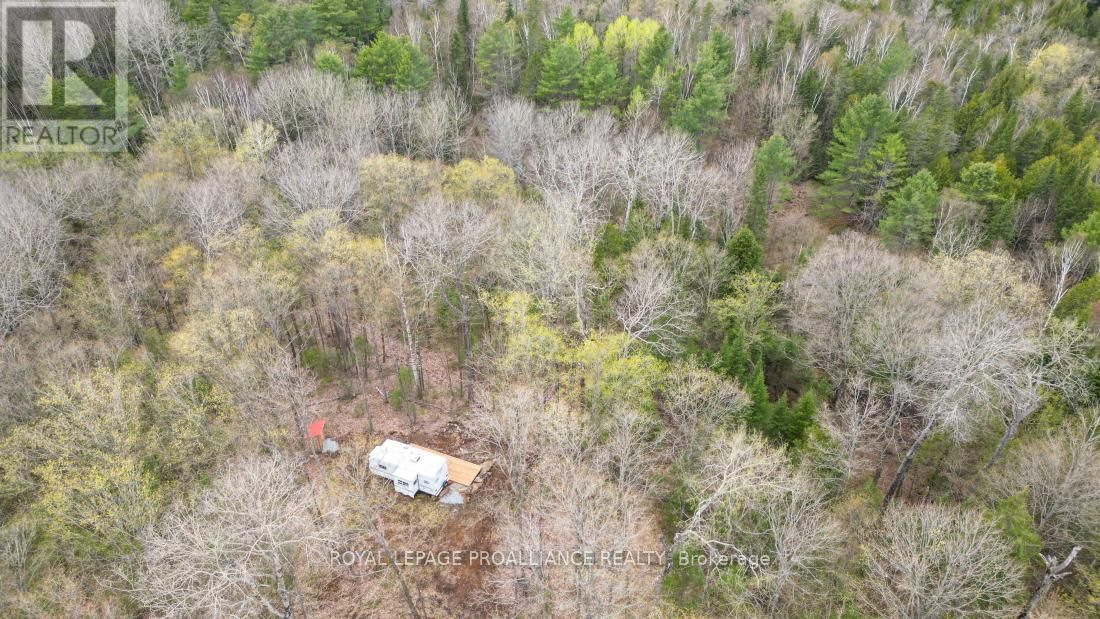 2060 SMITH ROAD Image 25
