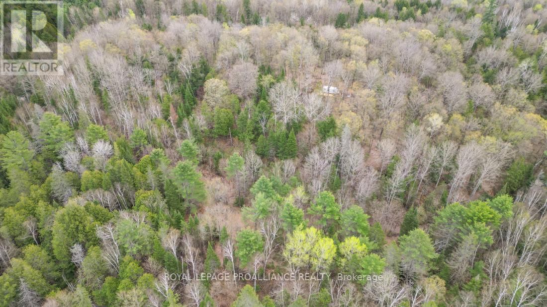 2060 SMITH ROAD Image 32