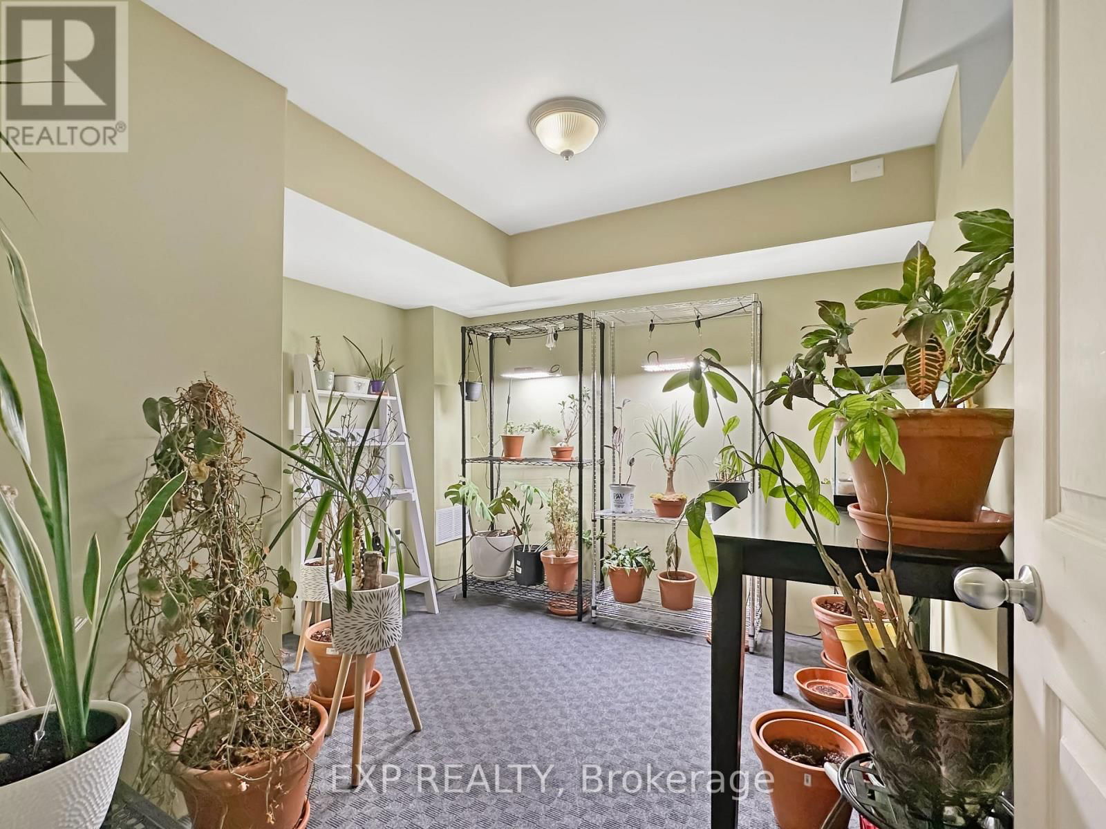 880 MARIGOLD STREET Image 22