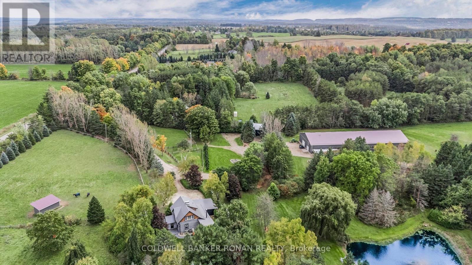 Primary Property View