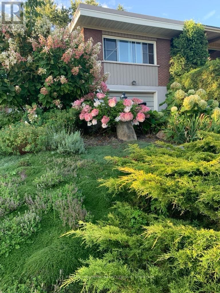 323 PERRIER AVENUE Image 38