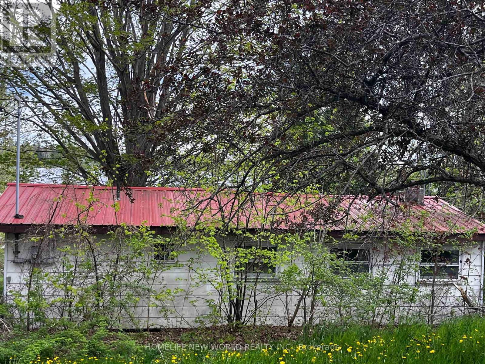 1288 PORTAGE ROAD Image 11