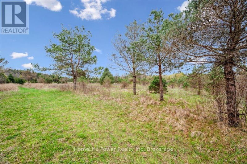 Tertiary Property View