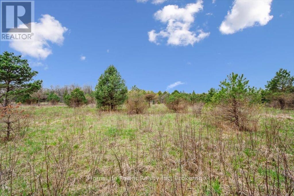 0 PIONEER TRAIL Image 4