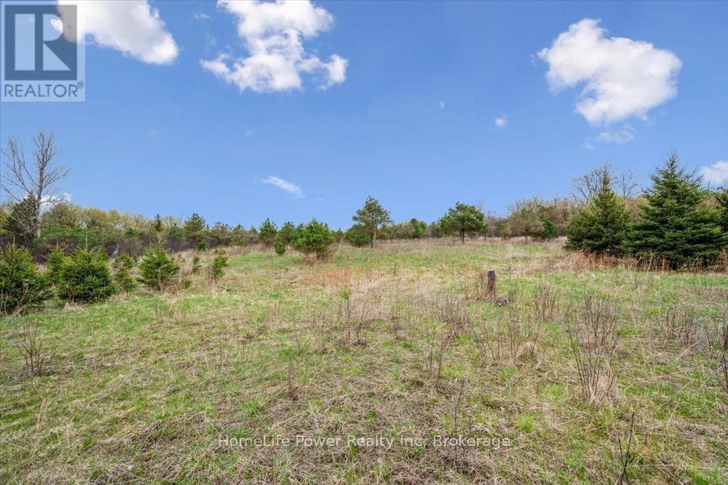 0 PIONEER TRAIL Image 5