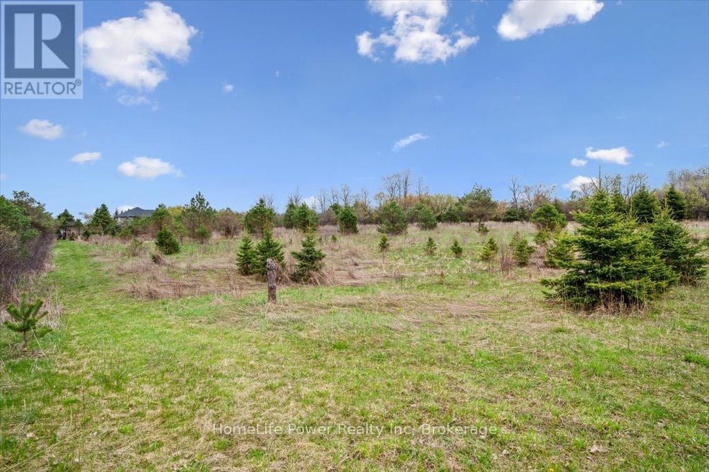 0 PIONEER TRAIL Image 6