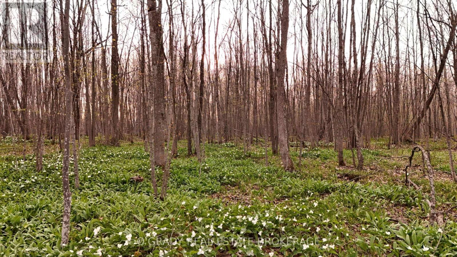 220 8TH LINE ROAD Image 8