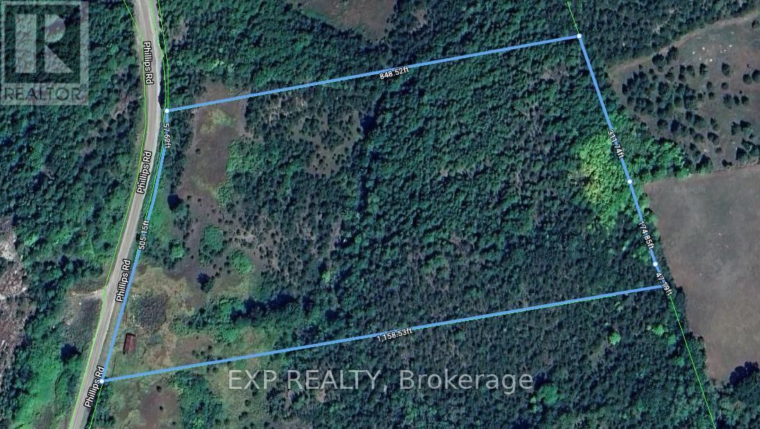 Primary Property View