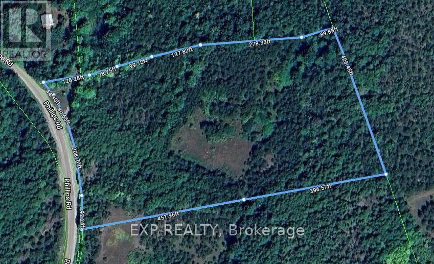 Primary Property View