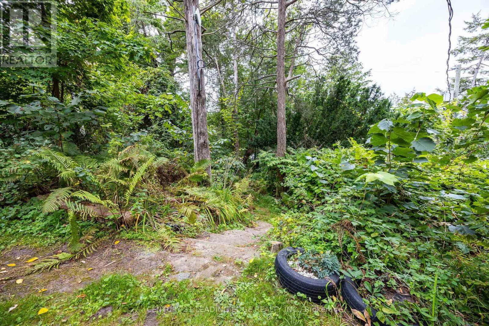 2385A COUNTY ROAD 9 Image 26