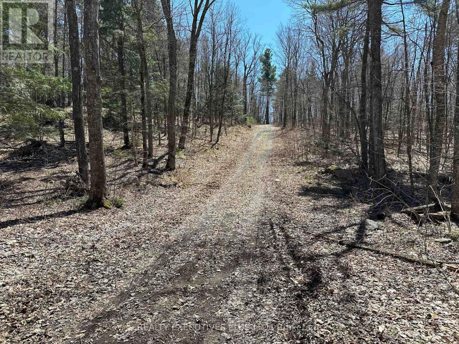 00 DALHOUSIE 4TH CONC B ROAD Image 1