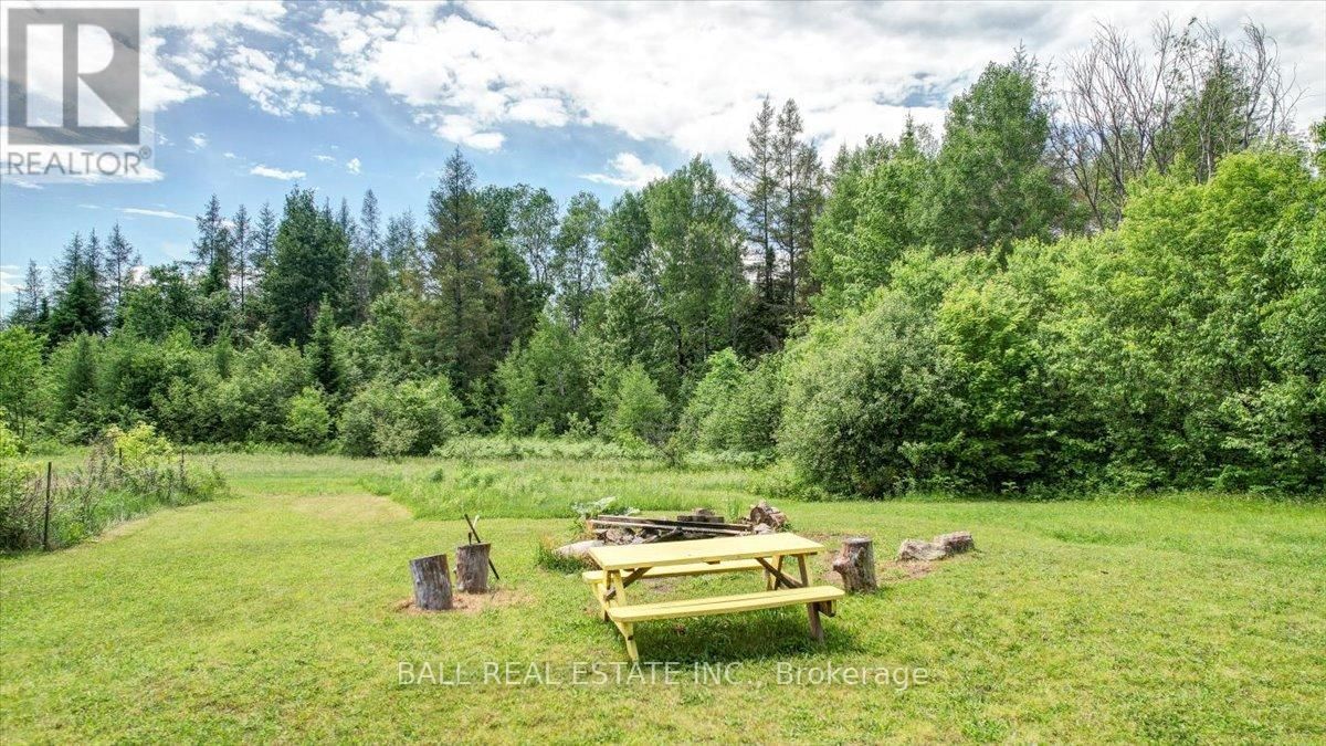 384 SCOTT LINE ROAD Image 5