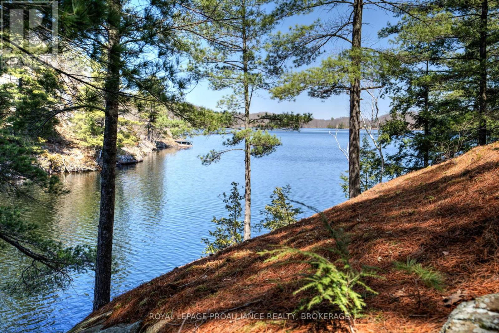 27 GOODS ISLAND Image 45
