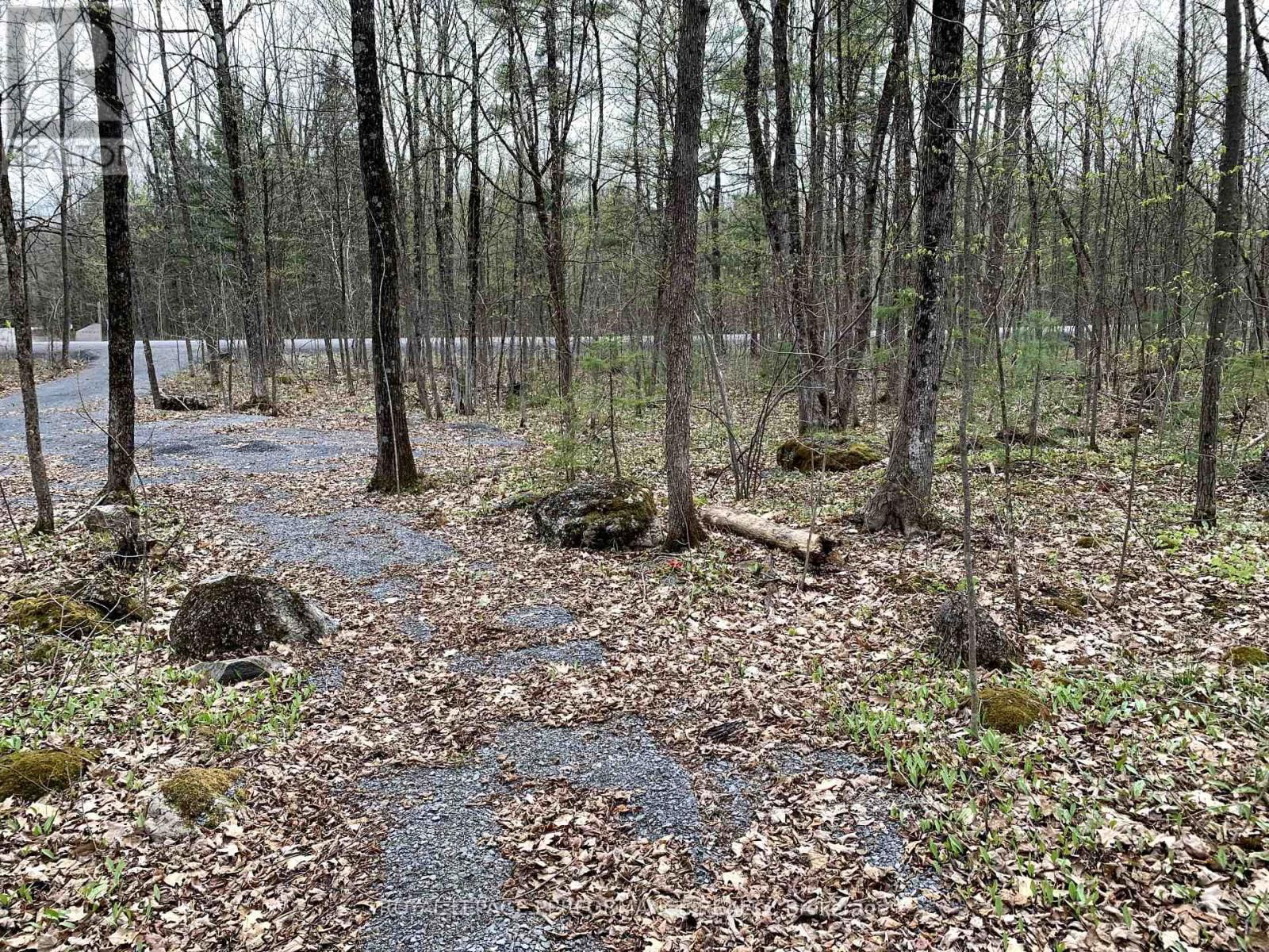 00 O'TOOLE ROAD Image 6