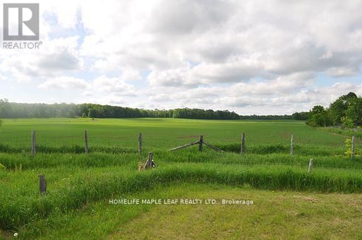 219 HILL ROAD Image 9