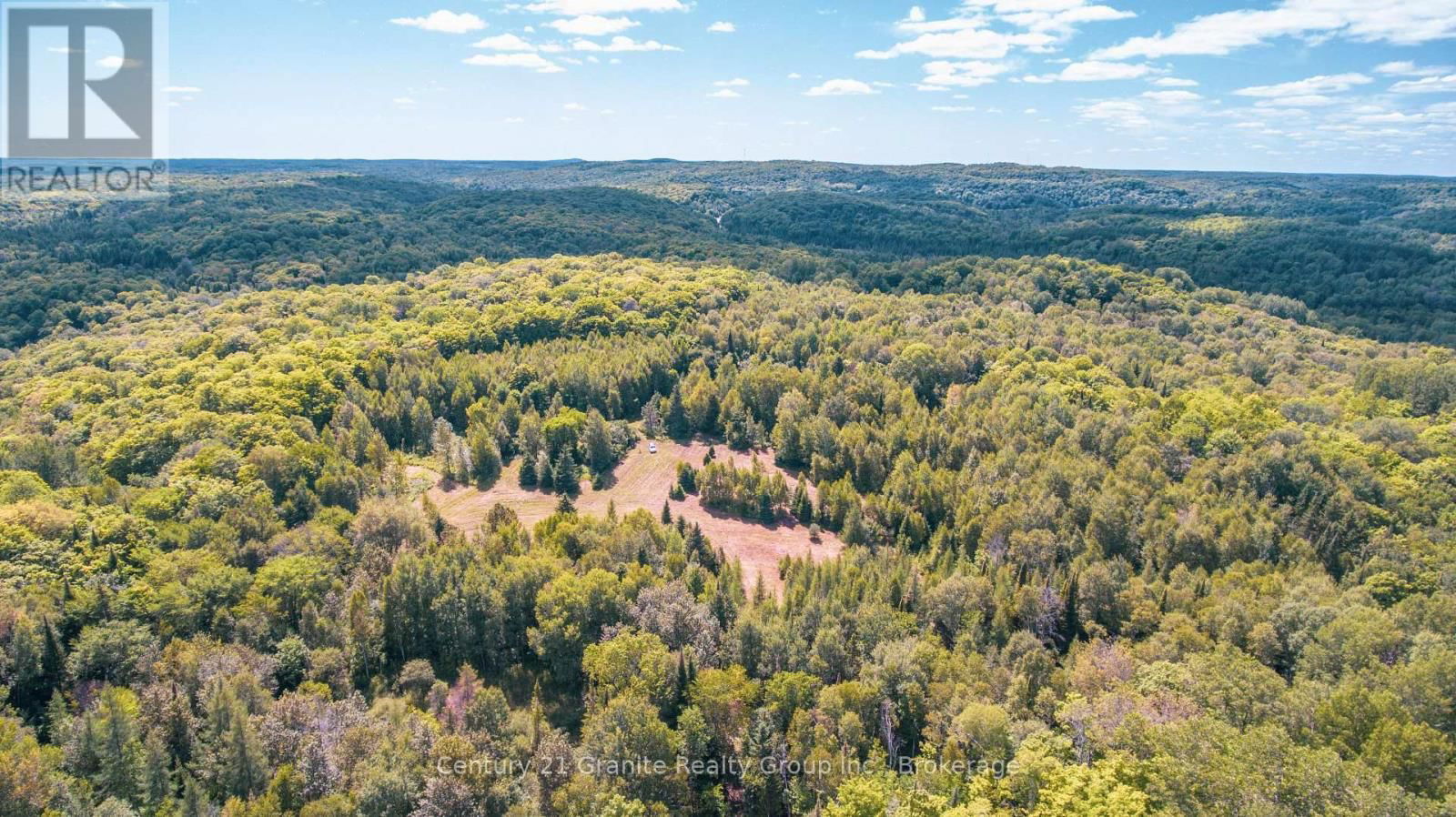 2368 ESSONVILLE LINE ROAD Image 11