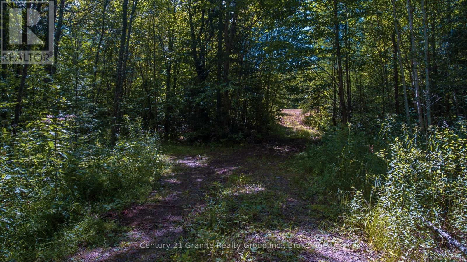 2368 ESSONVILLE LINE ROAD Image 12