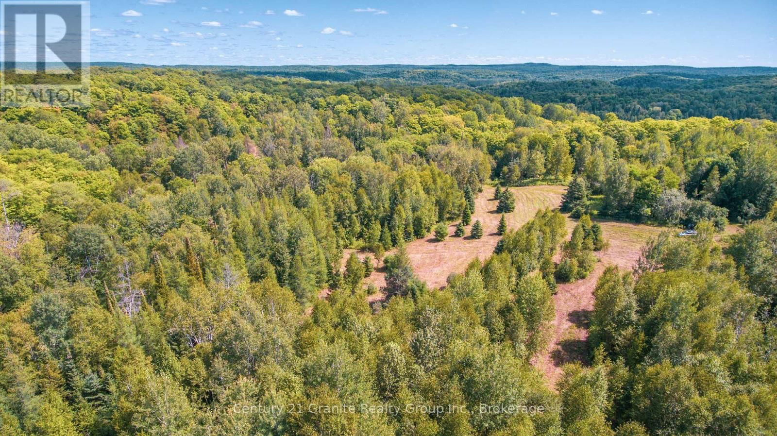 2368 ESSONVILLE LINE ROAD Image 8