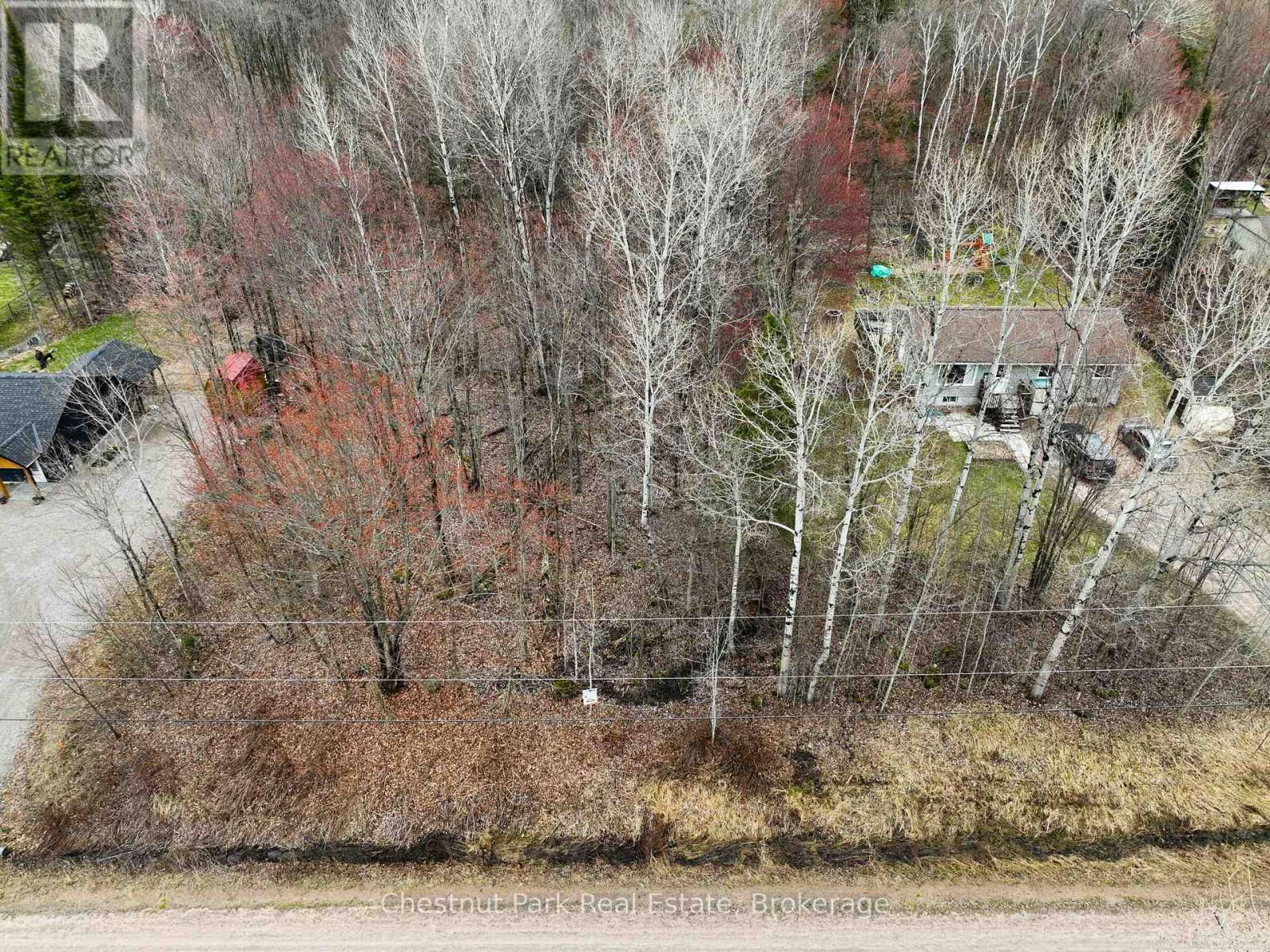 Primary Property View