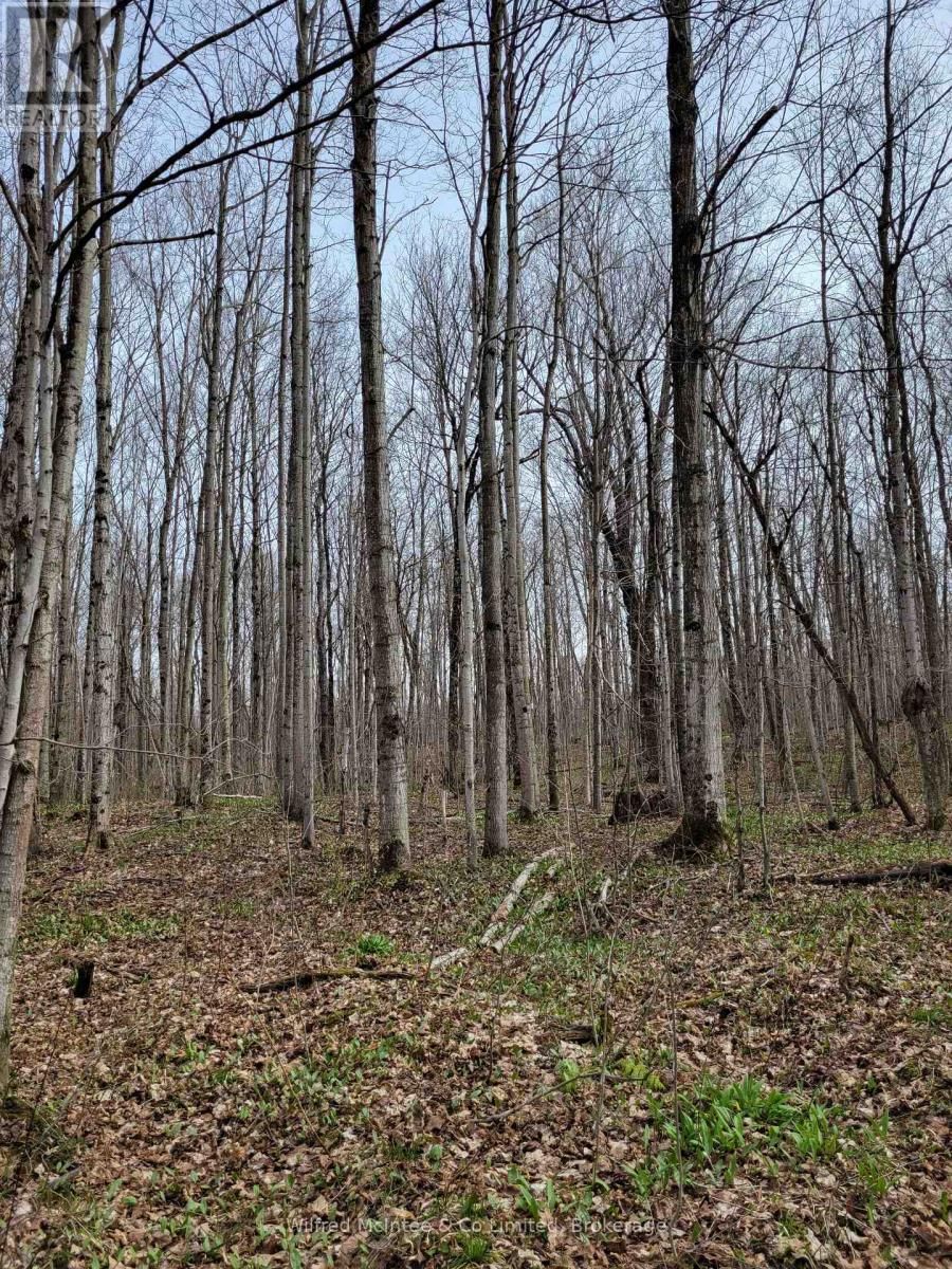 CONCESSION 4 Image 12