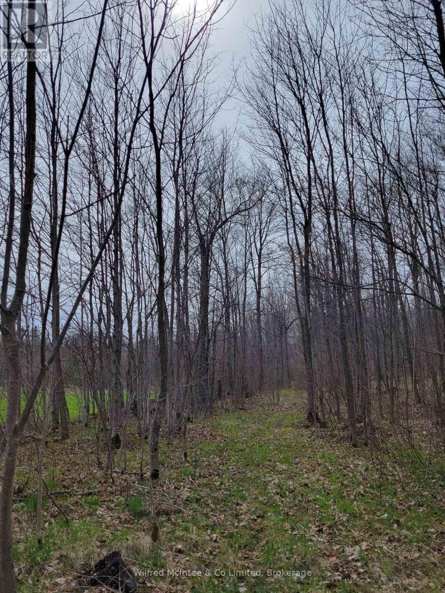 CONCESSION 4 Image 13