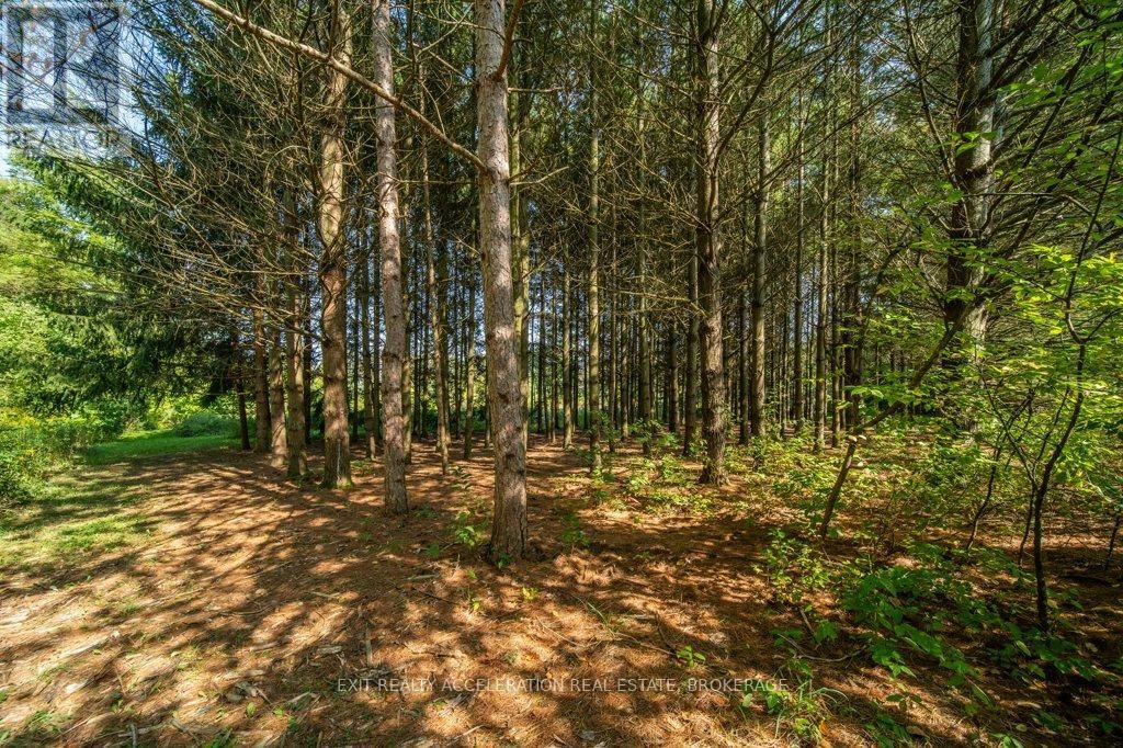 2940 COUNTY ROAD 8 Image 35