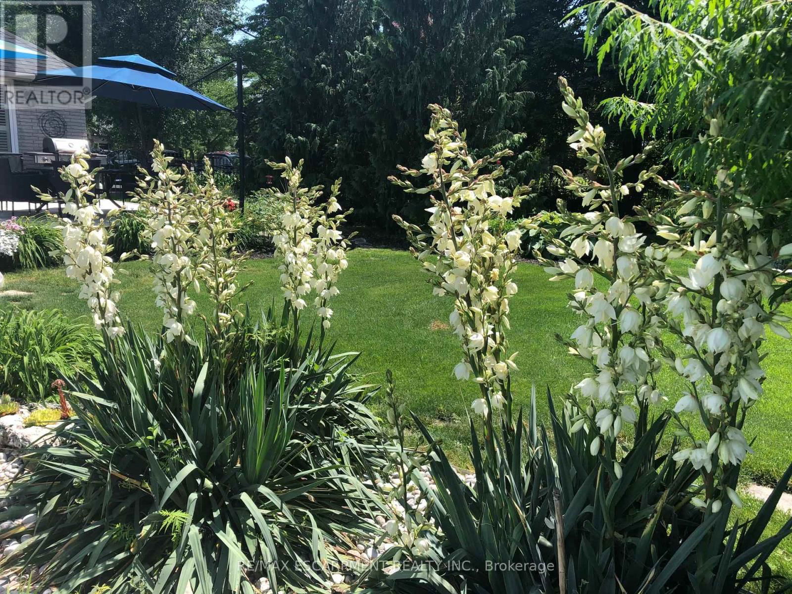 27 GLADIOLA DRIVE Image 36