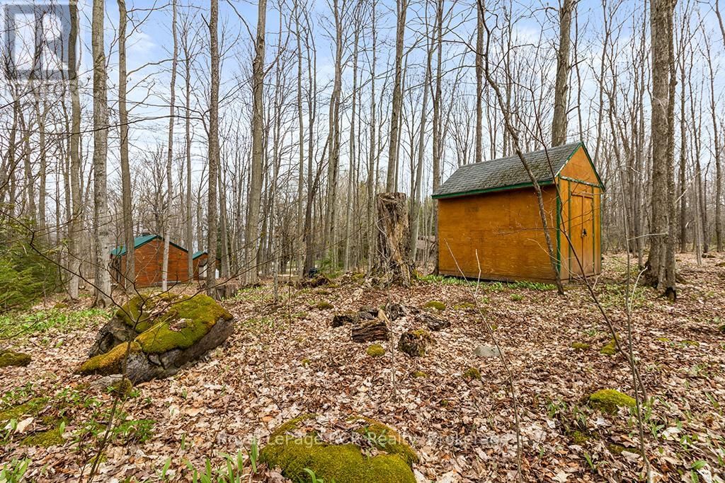 262 CANROBERT STREET Image 41