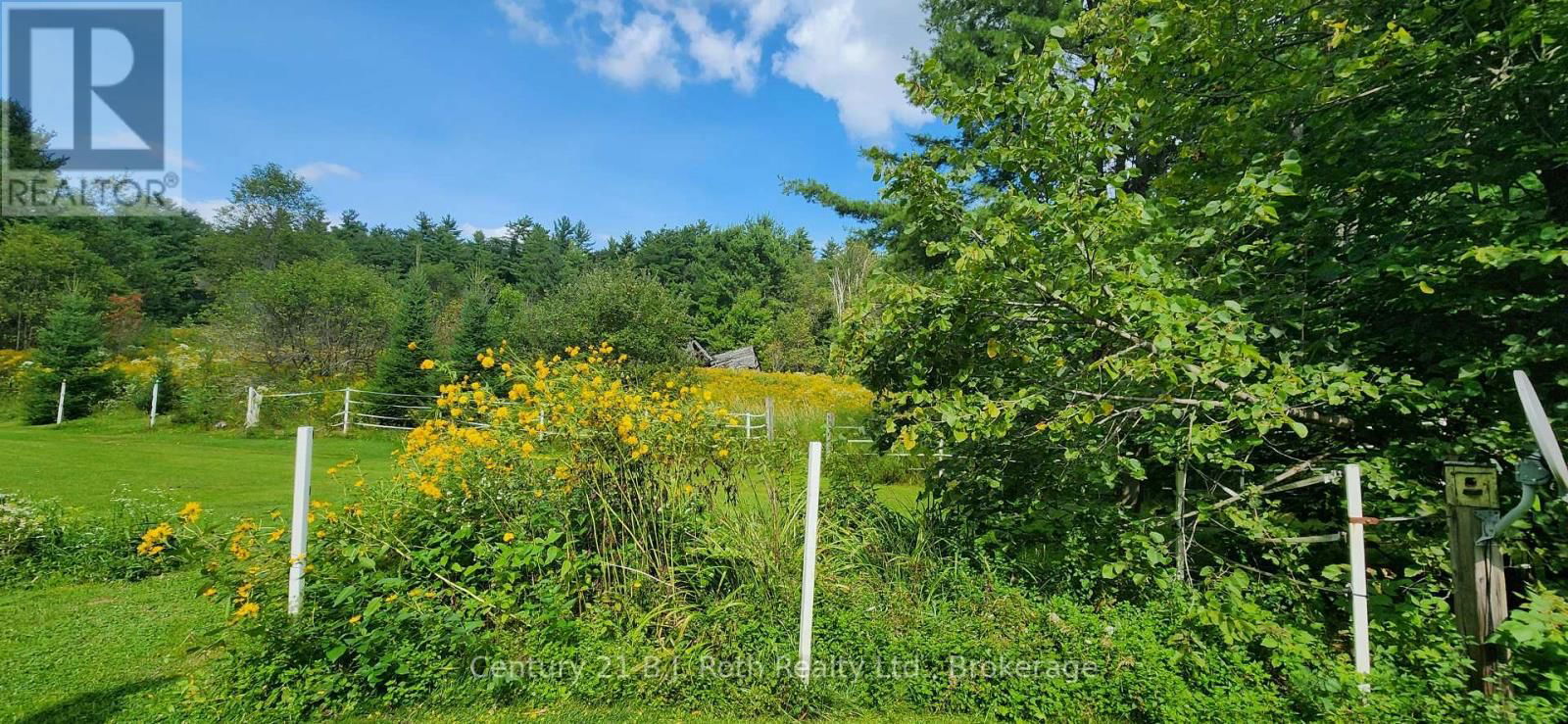 1175 SILVER LAKE ROAD Image 14