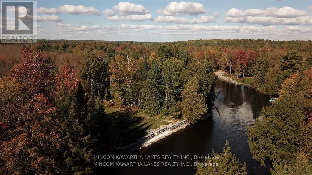 165 CEDARPLANK ROAD Image 19