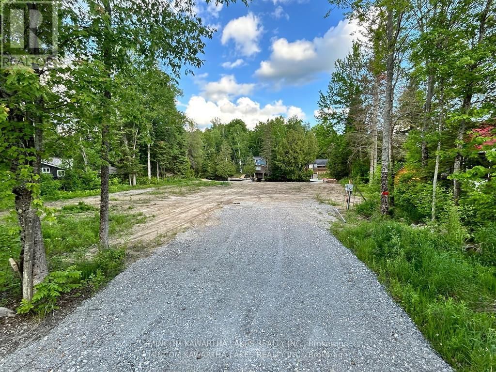 165 CEDARPLANK ROAD Image 4