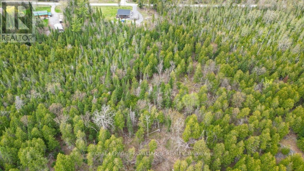 1554 SHANNON ROAD Image 46