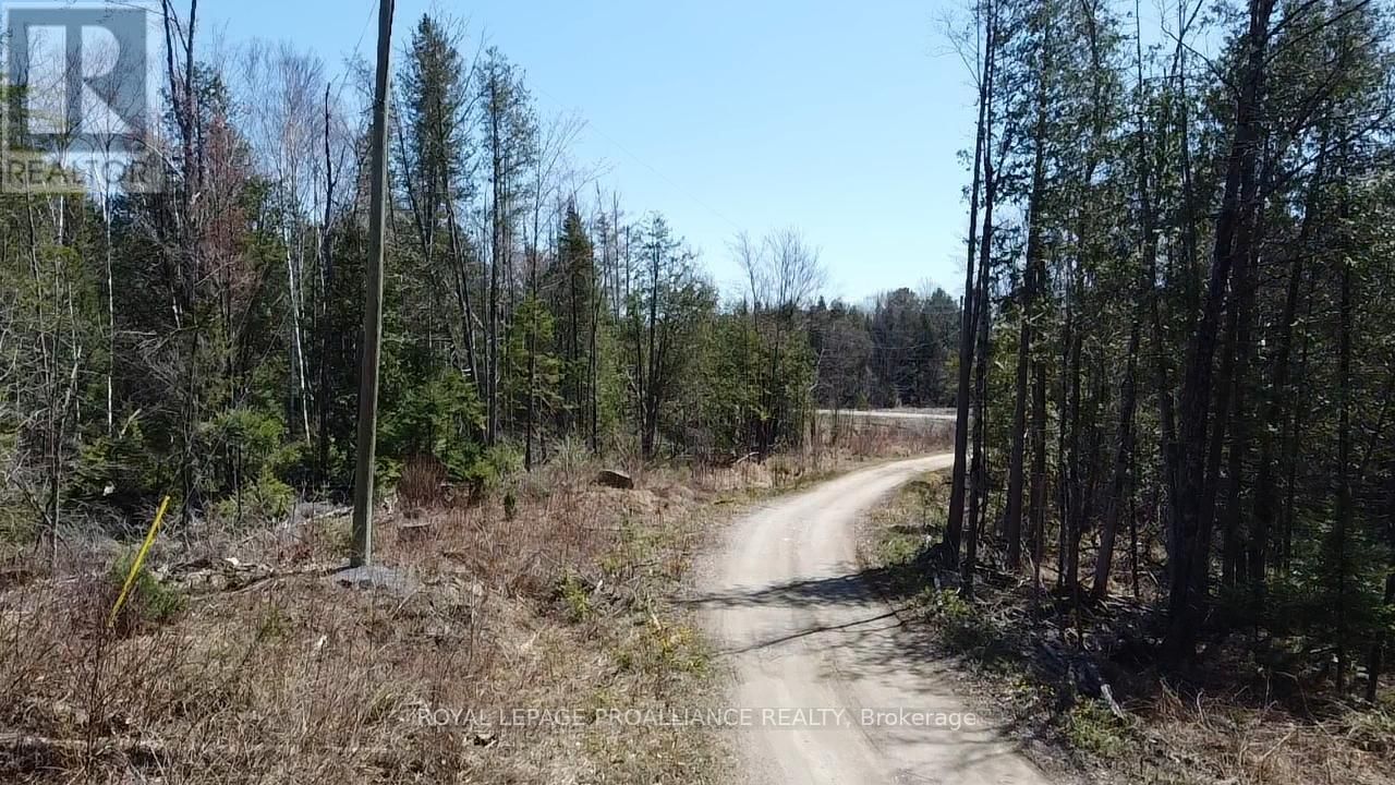 A - 1841 HARLOWE ROAD Image 11