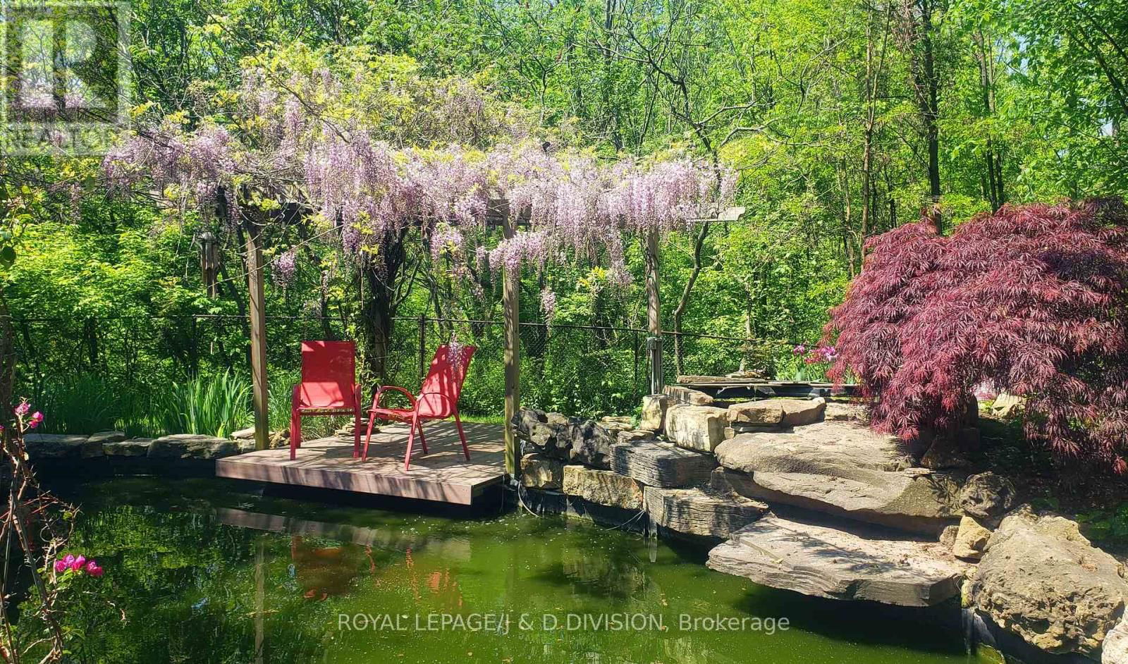 295 BRANT ROAD Image 37