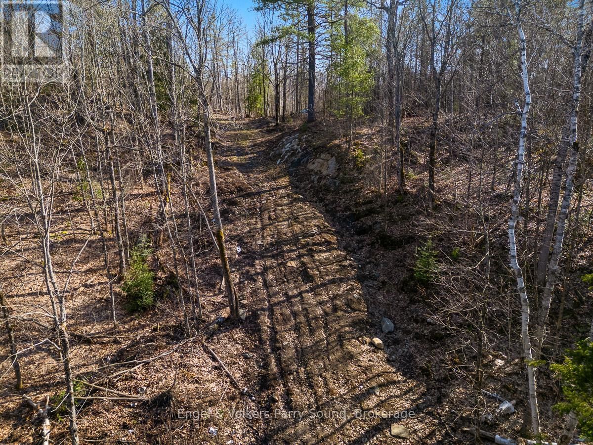703 BUNNY TRAIL Image 13