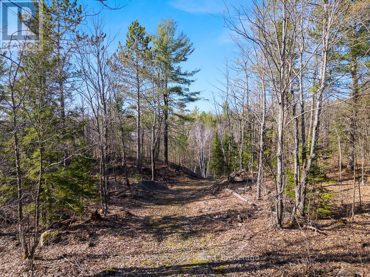 703 BUNNY TRAIL Image 14