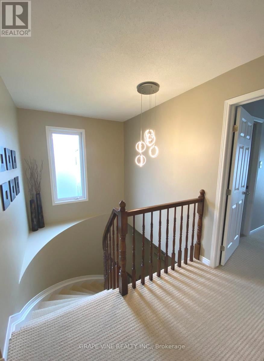 224 ARRITA STREET Image 20
