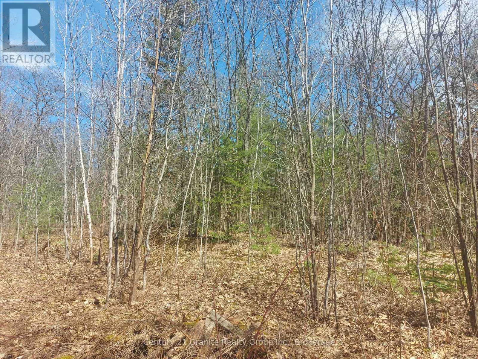 1145 LITTLE HAWK LAKE ROAD Image 10