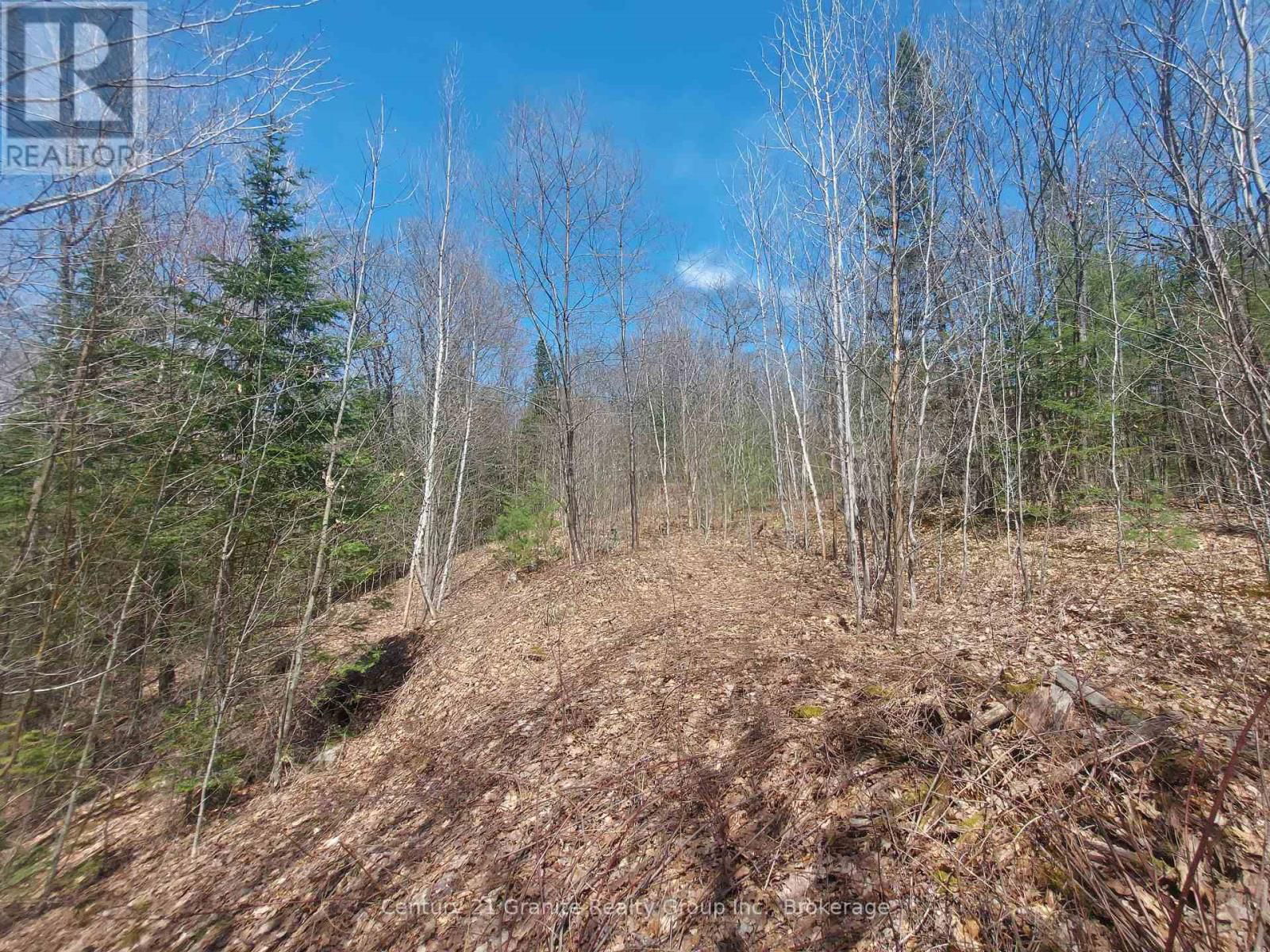 1145 LITTLE HAWK LAKE ROAD Image 11