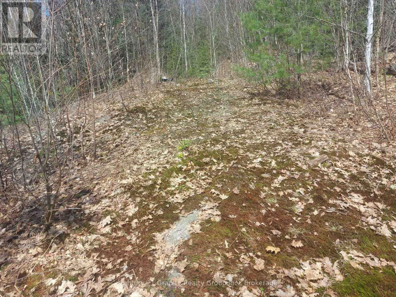 1145 LITTLE HAWK LAKE ROAD Image 13