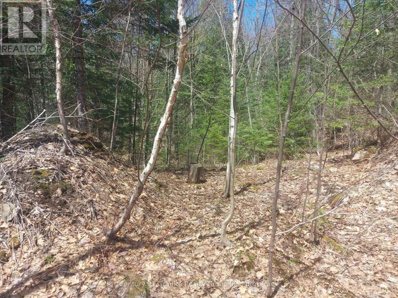 1145 LITTLE HAWK LAKE ROAD Image 14