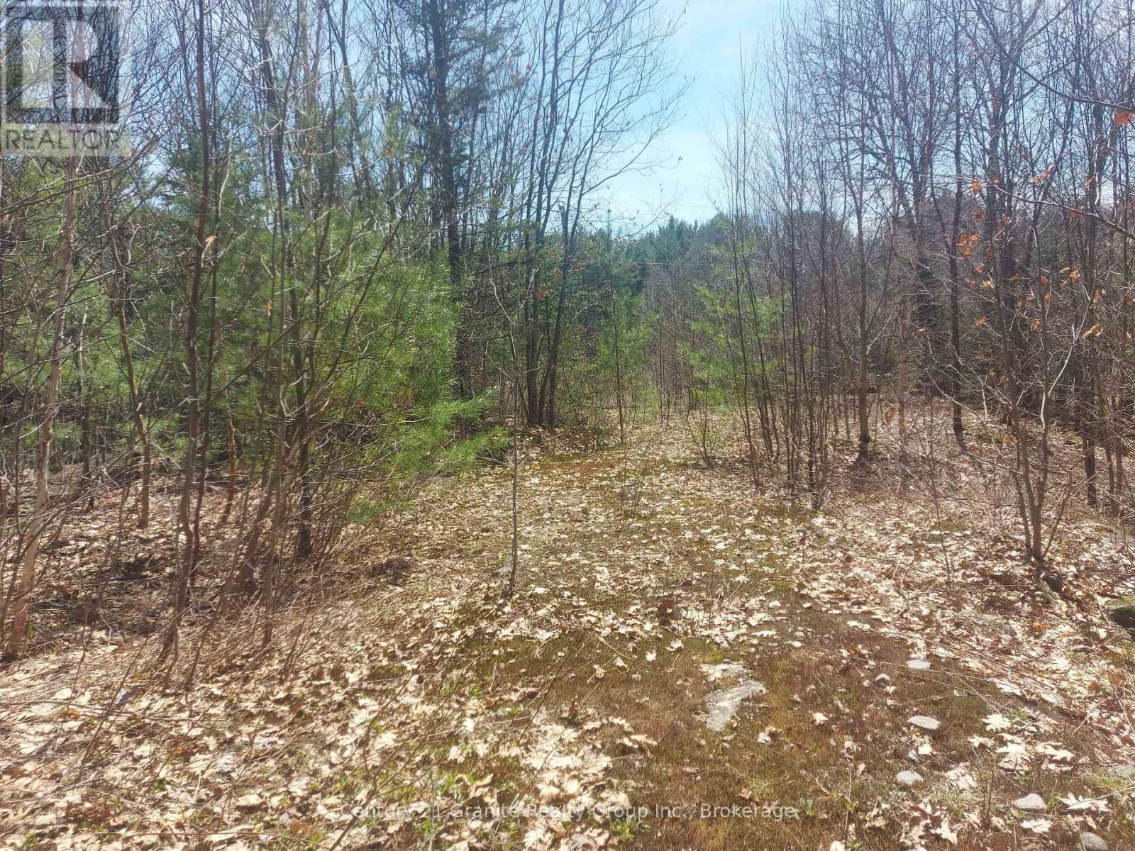 1145 LITTLE HAWK LAKE ROAD Image 15