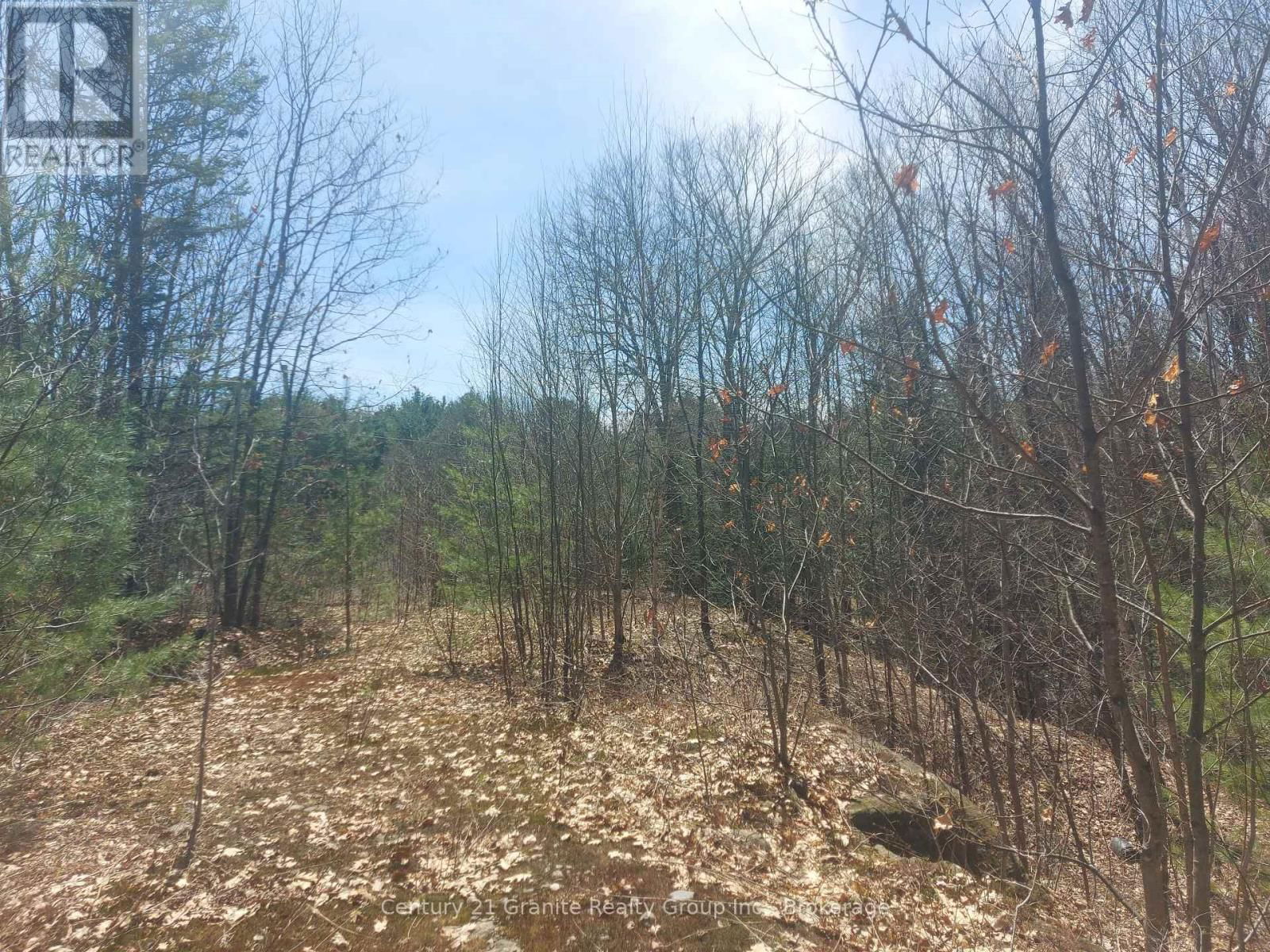 1145 LITTLE HAWK LAKE ROAD Image 16