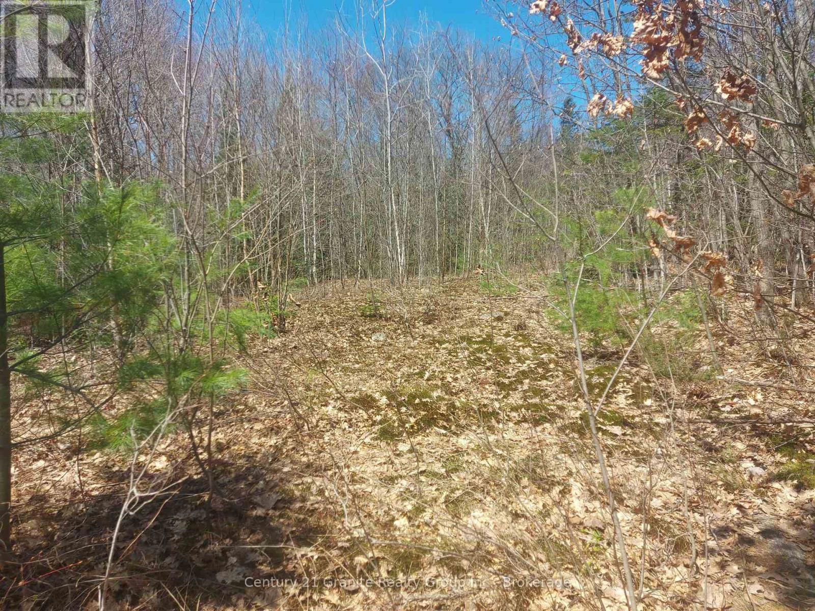 1145 LITTLE HAWK LAKE ROAD Image 17