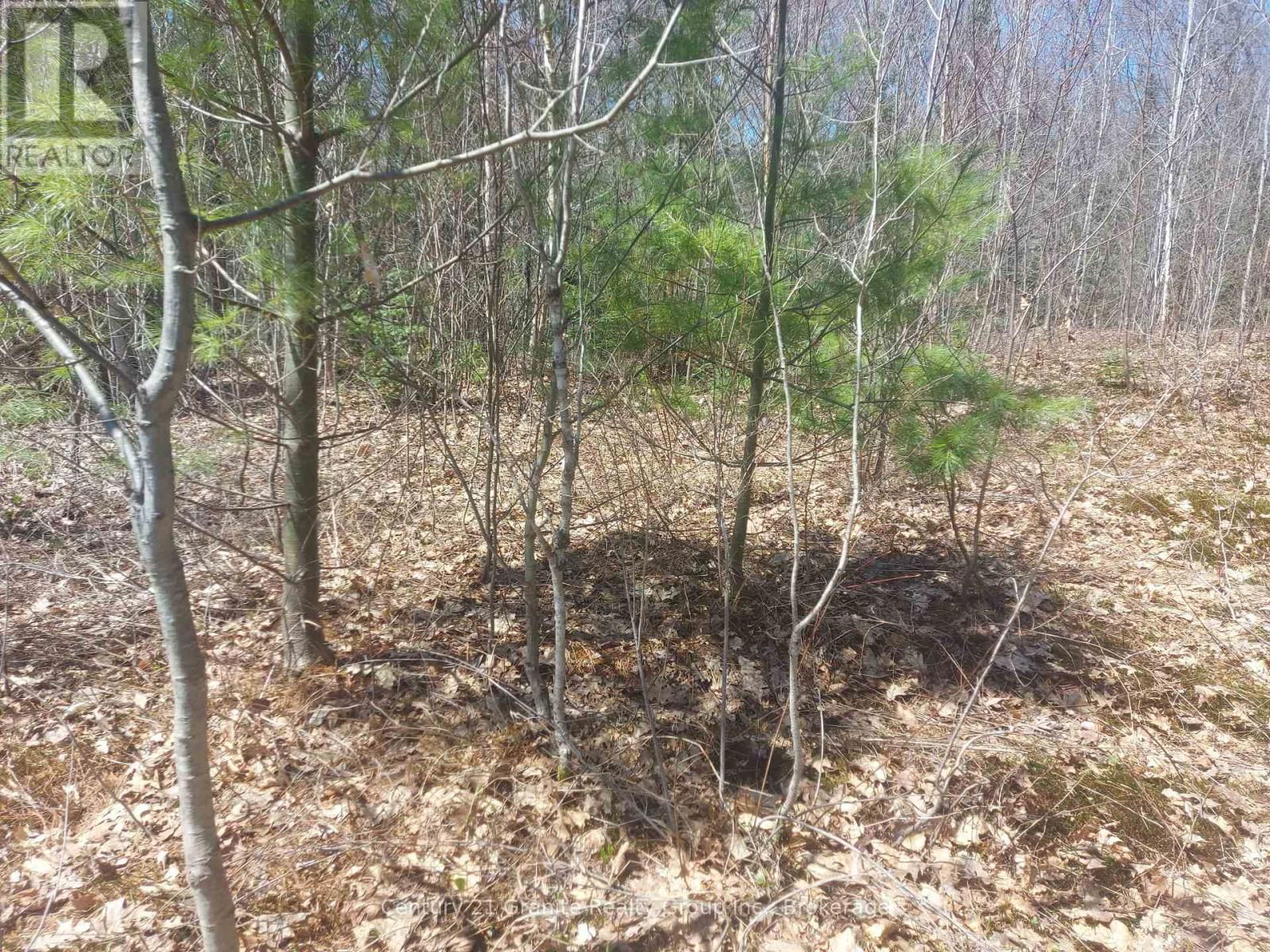 1145 LITTLE HAWK LAKE ROAD Image 18