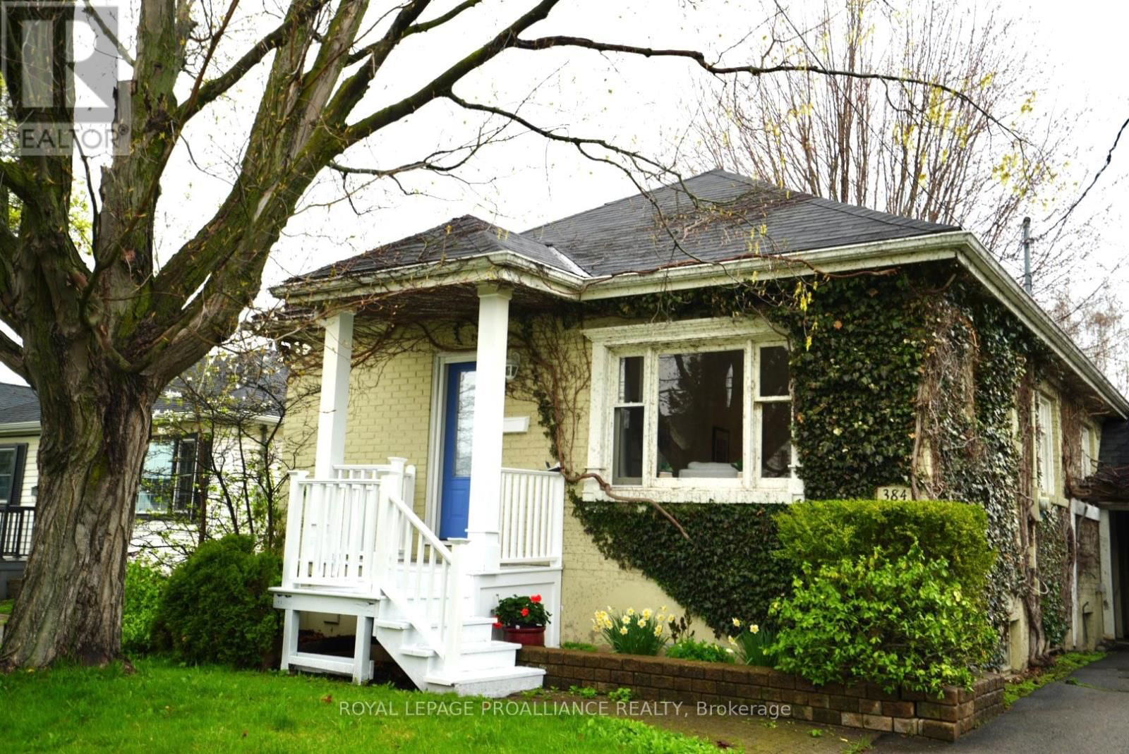 384 D'ARCY STREET Image 1