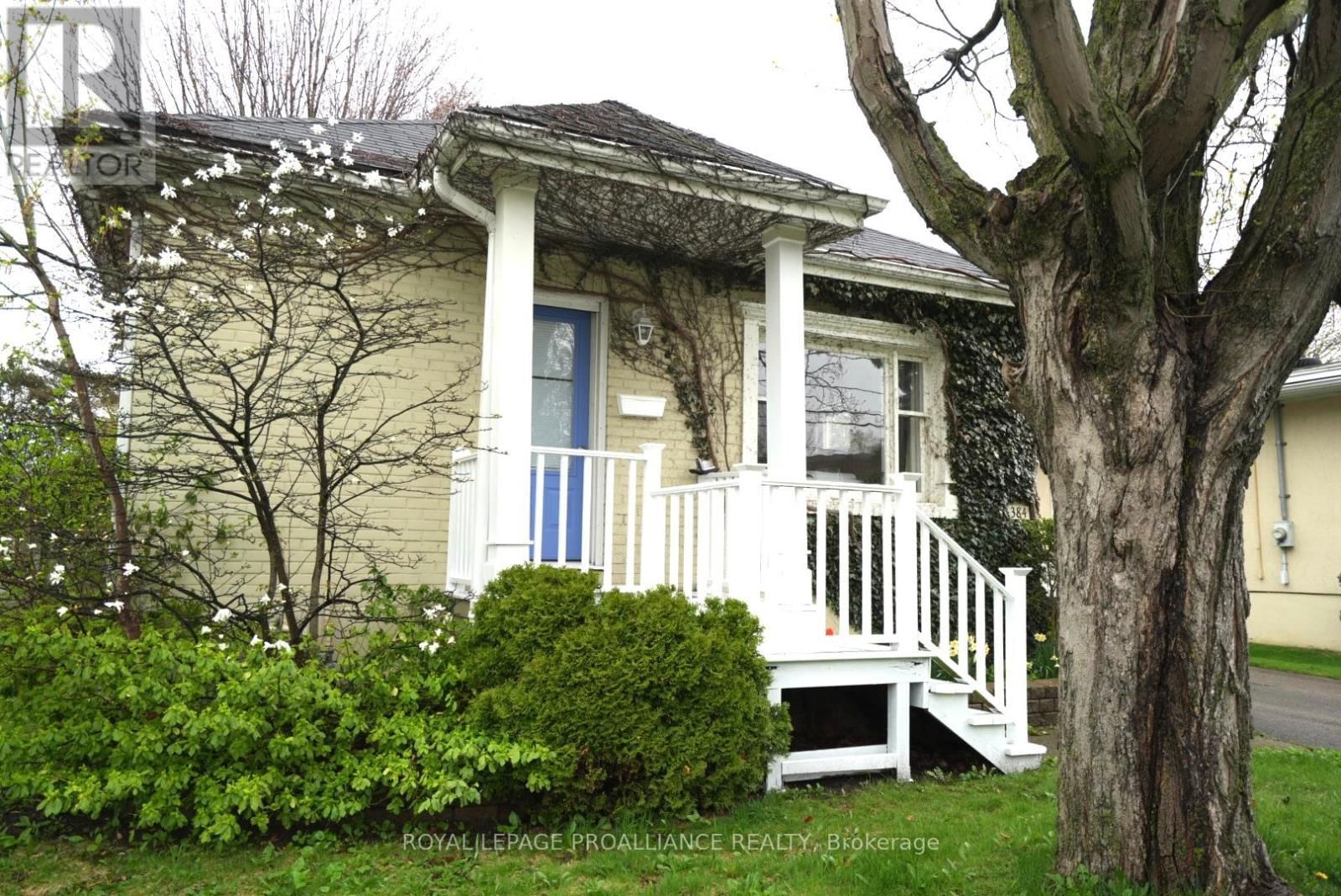 384 D'ARCY STREET Image 2